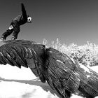 dave_vt_blotto_0077_300.jpg