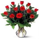 dozen_red_roses.jpg