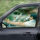 driver_0911_2.jpg