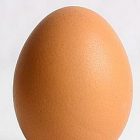 egg.jpg
