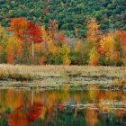 fall_folliage_340x255.jpg
