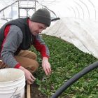 farm_450.jpg