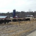 farm_5.jpg