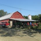 farm_600_3.jpg