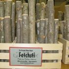 fetchstix_450.jpg