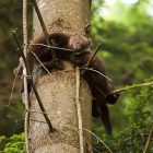 fishers2_0205.jpg