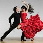 flamenco.jpg