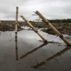 flooded_fields.jpg