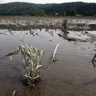 floodedfields2.jpg