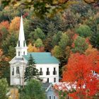 foliage-woodbury.jpg