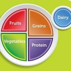 food_plate_green.jpg