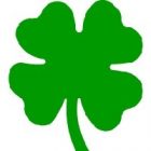 four_leaf_clover.jpg