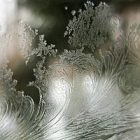frosty_window.jpg