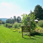 garden_600.jpg