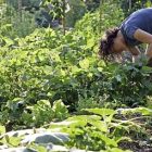 gardening_ap_photo_kiichiro_sato.jpg