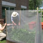 gardens.jpg