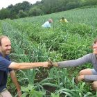 handshake_600.jpg
