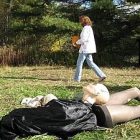 haunted_forest_300.jpg