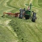 hay_150.jpg