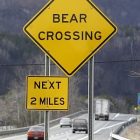 highway.jpg