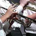 horns.jpg