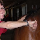 horsem_600.jpg