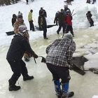 ice_cutting_340x255.jpg
