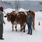 img_7270_300.jpg