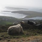 ireland_08_159.jpg