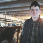 joe_angell_started_farming_in_brookfield_when_milk_prices_were_lowest.jpg