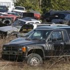 junkyard_toby.jpg