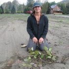 knotweed_1_2.jpg