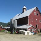 liberty_hill_farm.jpg