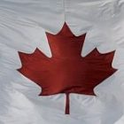 mapleleaf_150.jpg