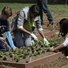 michelle_obama_gardening_with_vt_kids_040413_ap_photopablo_martinez_monsivais_ap838356960276_1.jpg