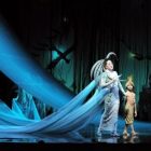 midsummer_night_dan_rest_340x255.jpg