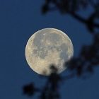 moon_2.jpg