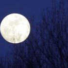 moon_300.jpg