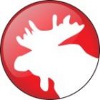 moose150.jpg