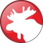 moose150_3.jpg