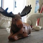 moose_340x255.jpg