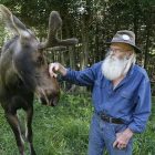 moose_600.jpg