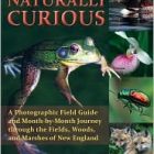 nat_curious_185x228.jpg