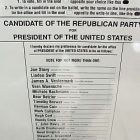 nh_ballot_250x438.jpg