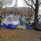 occupy_600.jpg