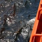 oily_water_ap_gerald_herbert_2.jpg