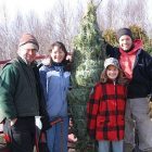 orgtree_450.jpg
