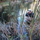 ponds_450.jpg