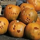 pumpkins_2.jpg