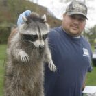 rabies.jpg